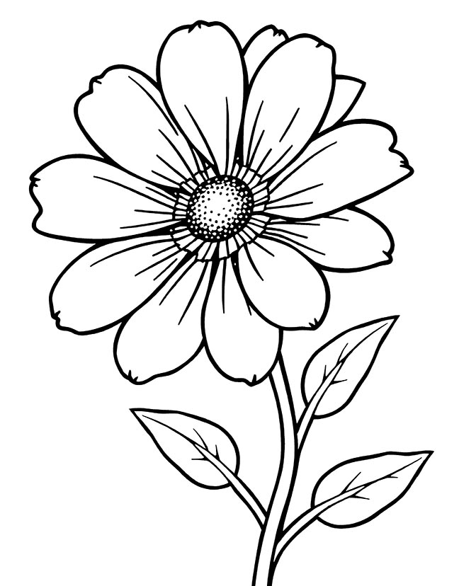 Cartoon aster flower coloring page